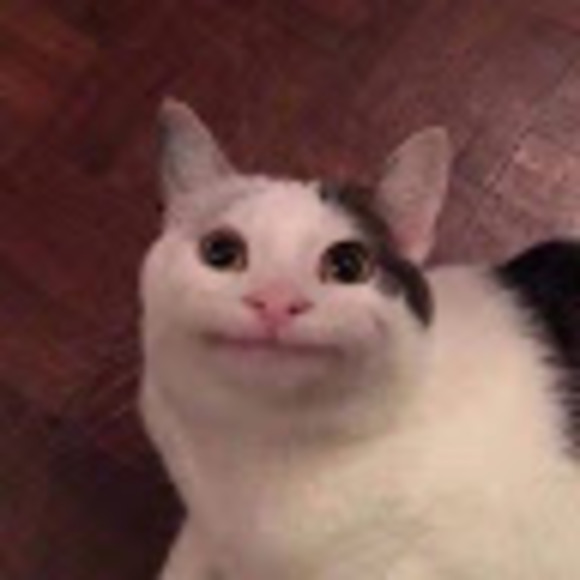 Meet your Posher, Iris - Picture 1 of 1